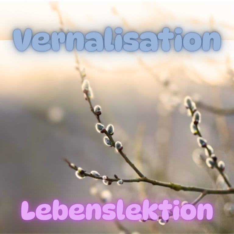 Das Geheimnis der Pflanzen im Winter: Vernalisation und Lebenslektionen
