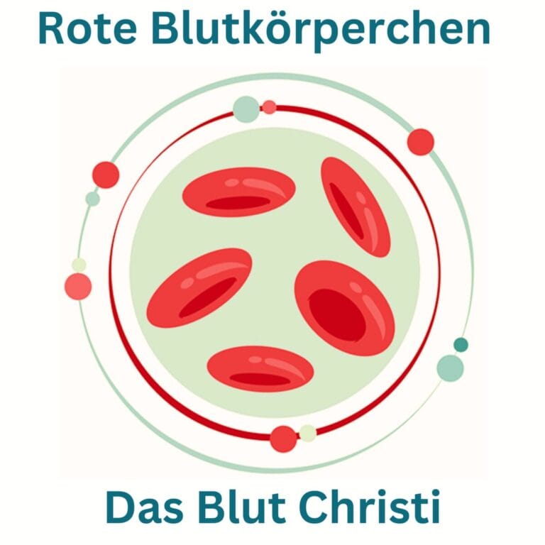 Rote Blutkörperchen und das Blut Christi – Das Leben im Blut
